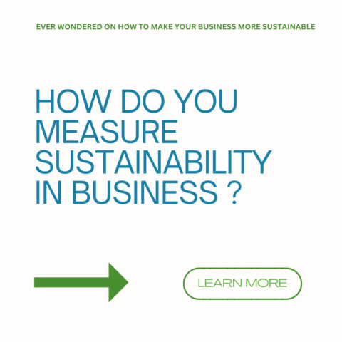 Crafting A Sustainable Future: Transforming Your Business