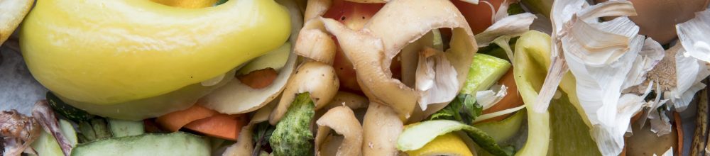 Innovative Solutions: Revolutionizing Organic Waste Disposal